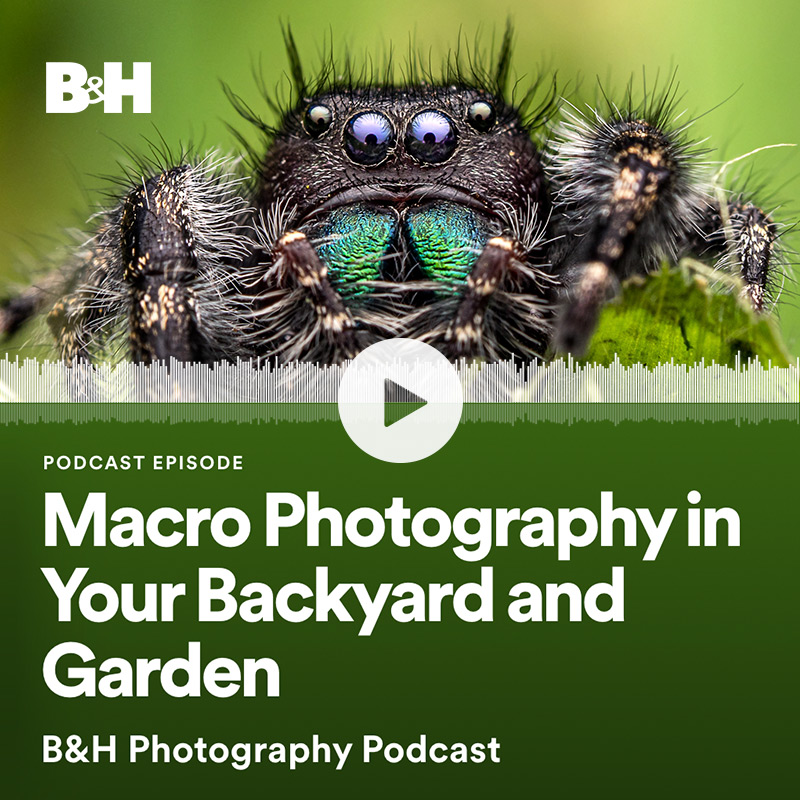 B&H Podcast: Macro Photography in Your Backyard and Garden