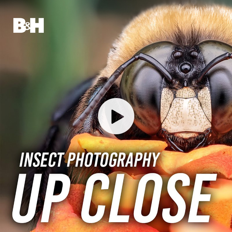 Up Close: Transforming the Small into the Spectacular