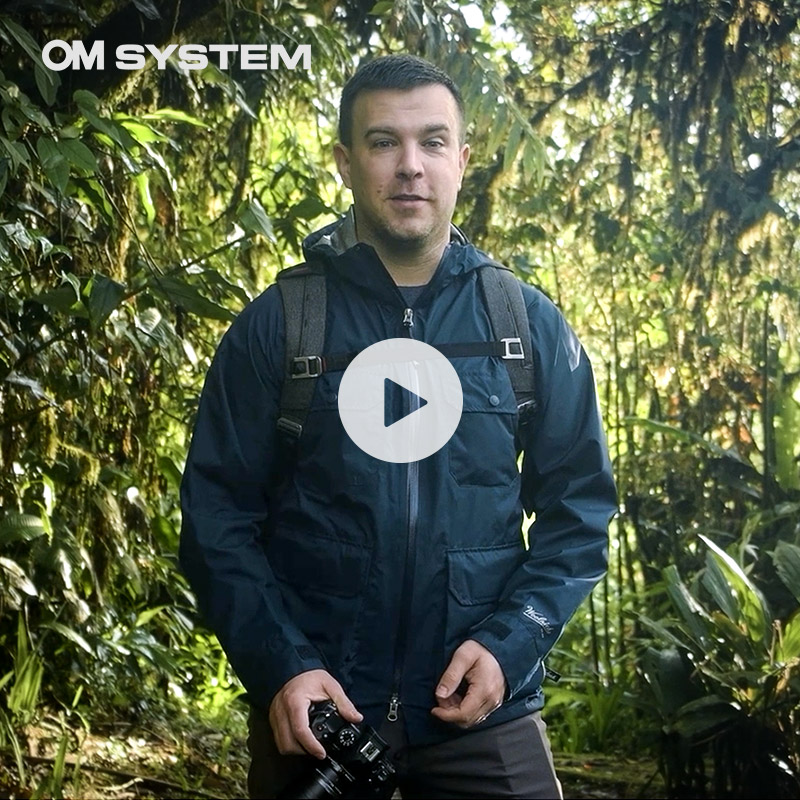 90mm Macro Launch Video