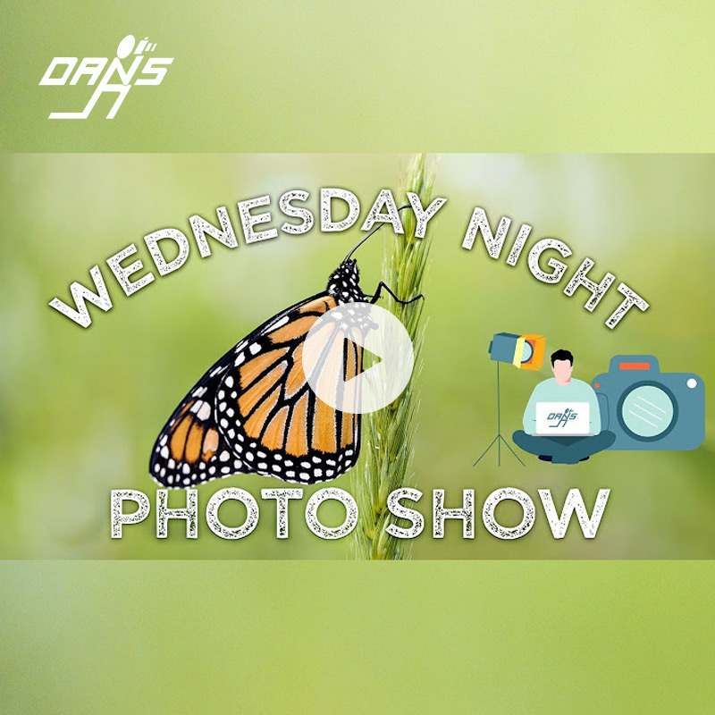 Live with Dan's Camera City