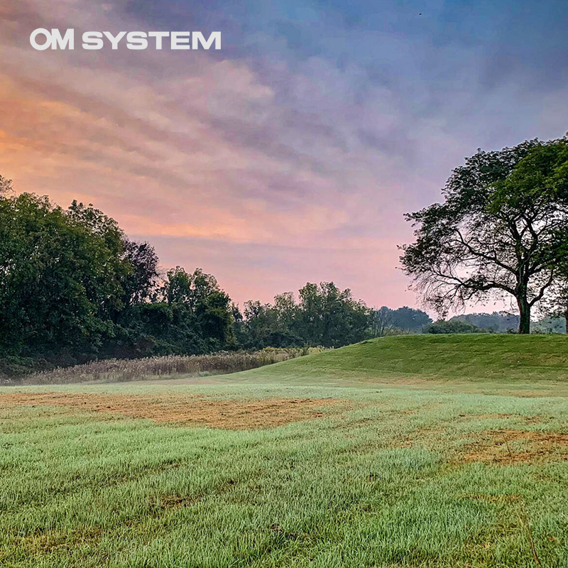 Finding Macro Subjects