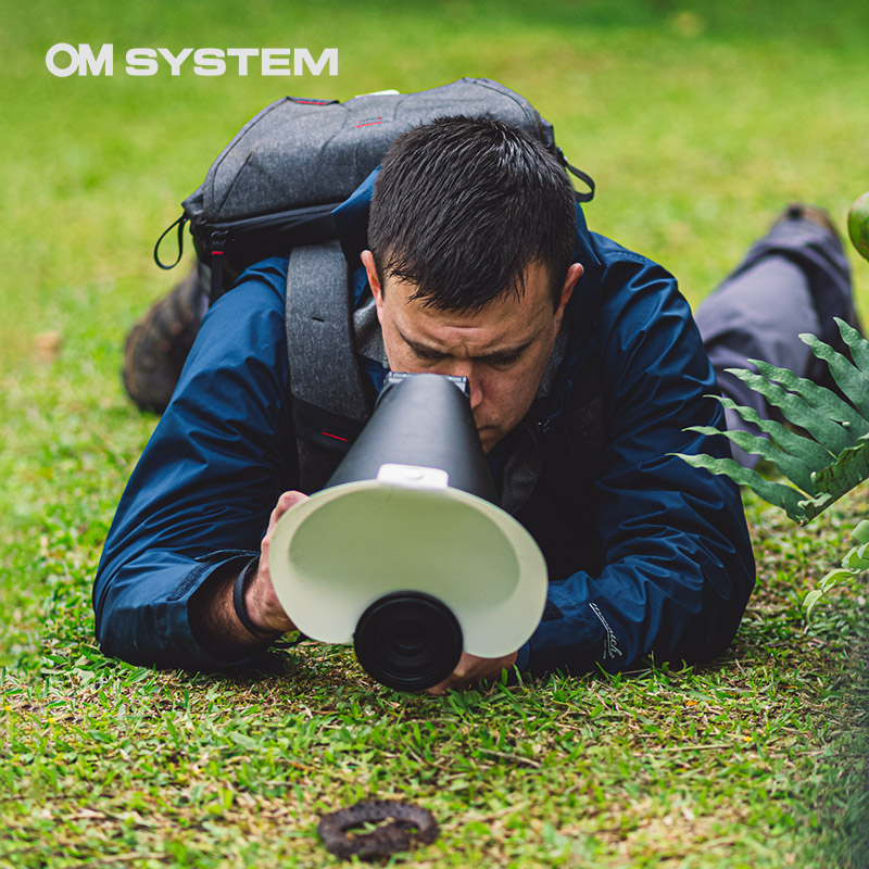 Finding Interest in the Ordinary