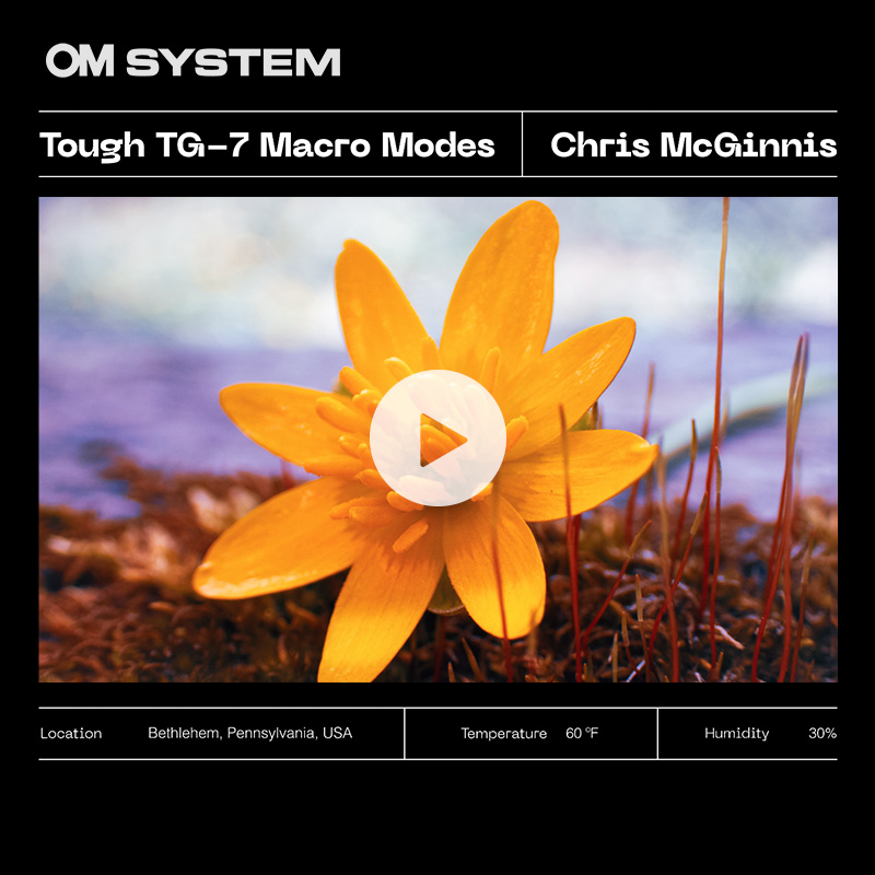 Tough TG-7 Macro Modes