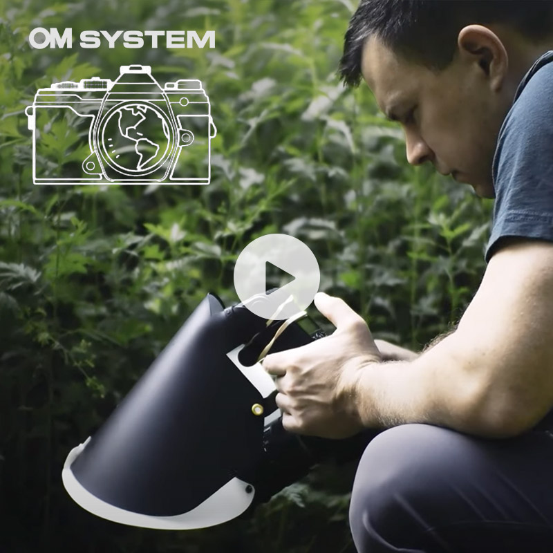 World Photography Day Q&A